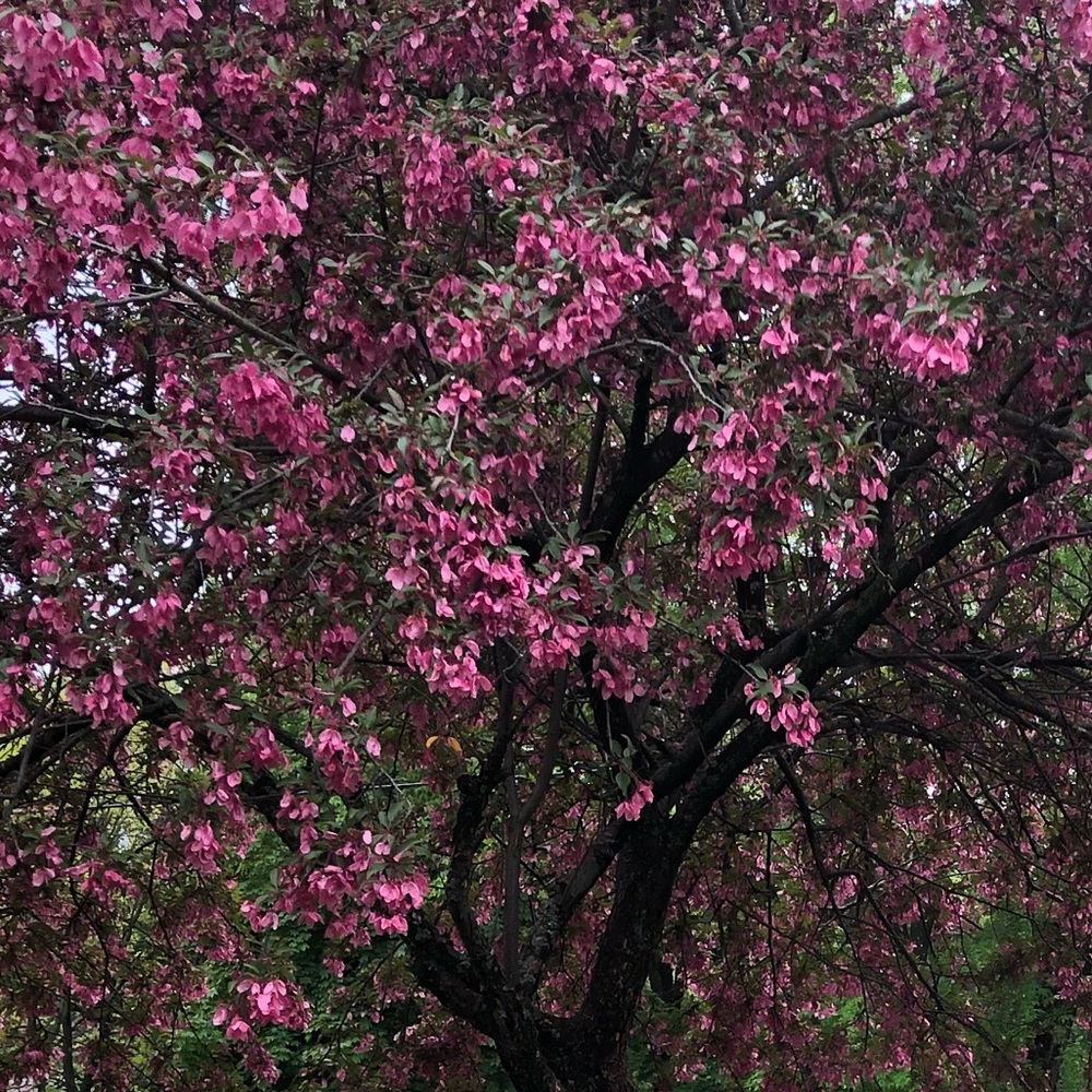 Meet your Posher, Nagwa